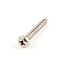 Hobie Cat Screw 8 X 1 PH MS