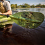 Carlisle Paddles Carlisle Magic Angler Kayak Paddle