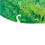 Carlisle Paddles Carlisle Magic Angler Kayak Paddle