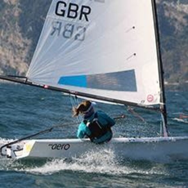 Rooster Sailing Rooster Carbon Tiller Extension