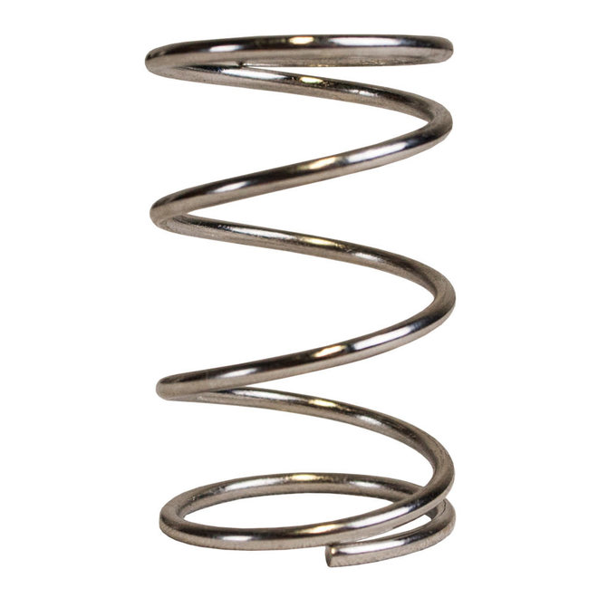 Stainless Spring