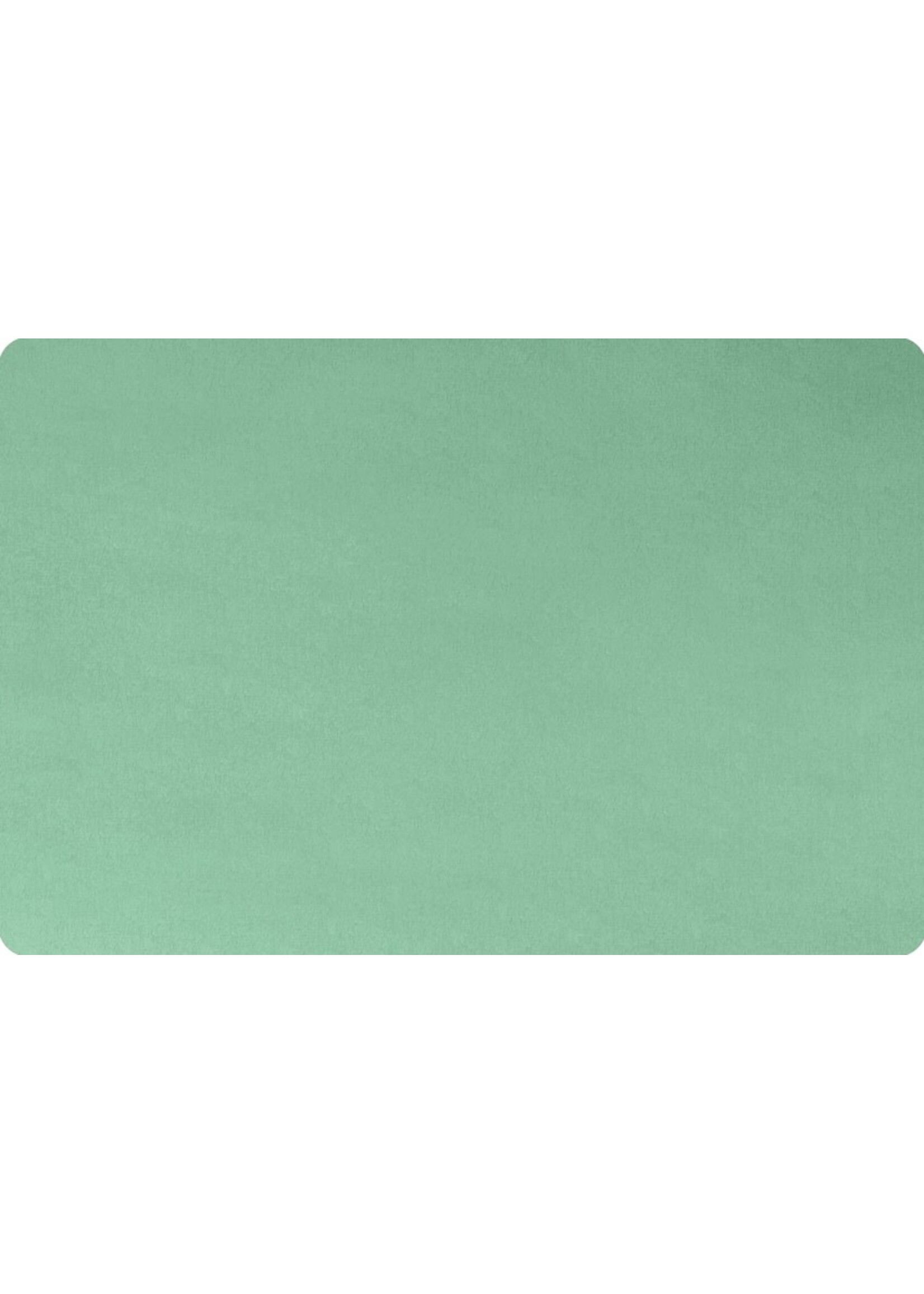 Shannon Fabrics Minky, Spearmint Extra Wide Solid Cuddle3, 90", (by the inch)