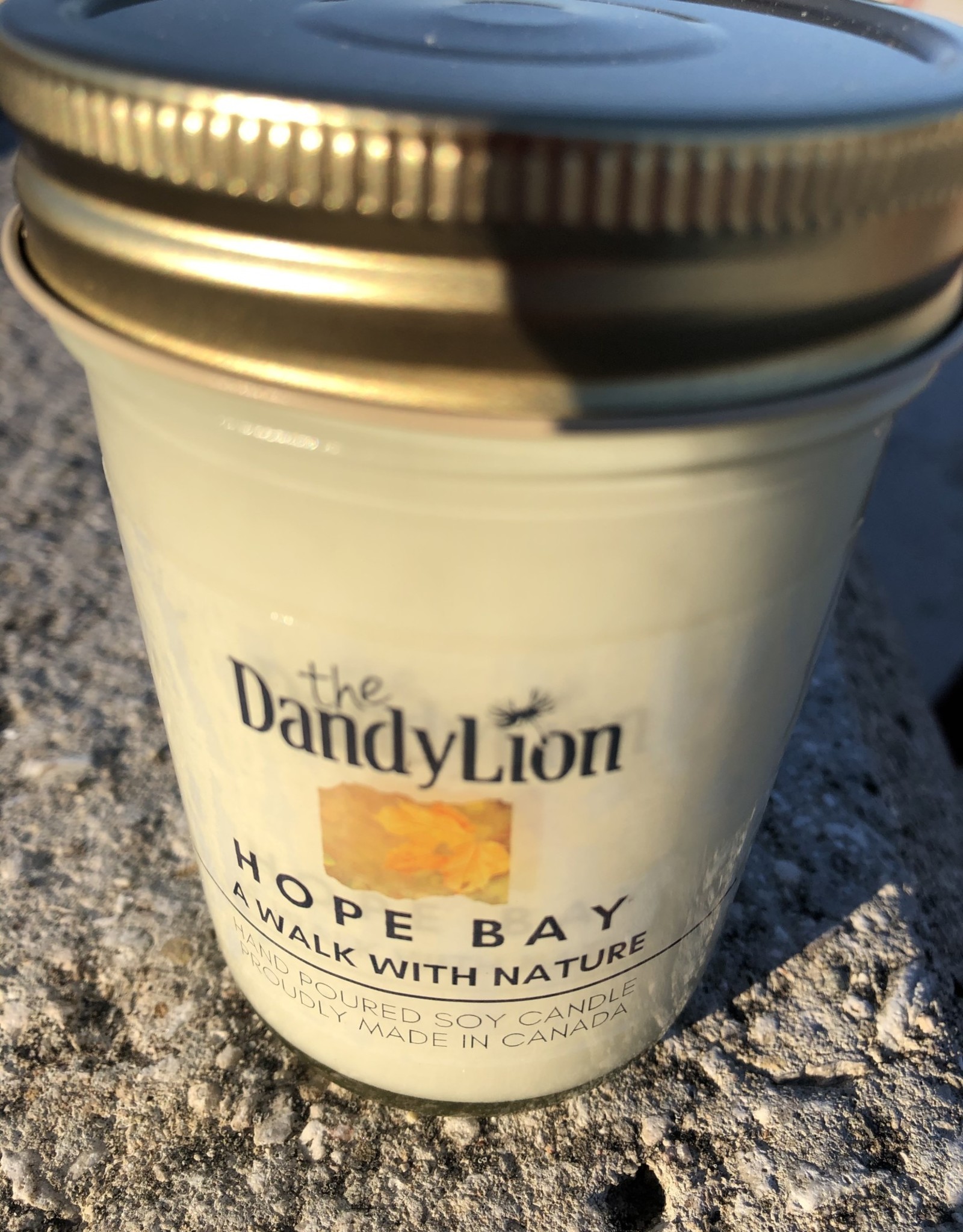 serendipity Hope Bay 8 oz soy candle