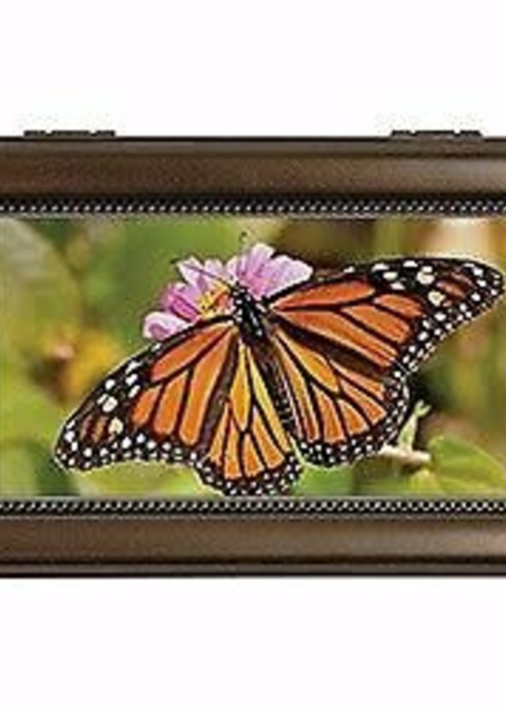 Music box Sm- Monarch Butterfly 6x4x2.5 Everything is Beautiful