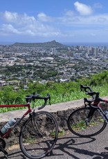 Veloguide Global Cycling Tours Southshore Vista from Tantalus Tour