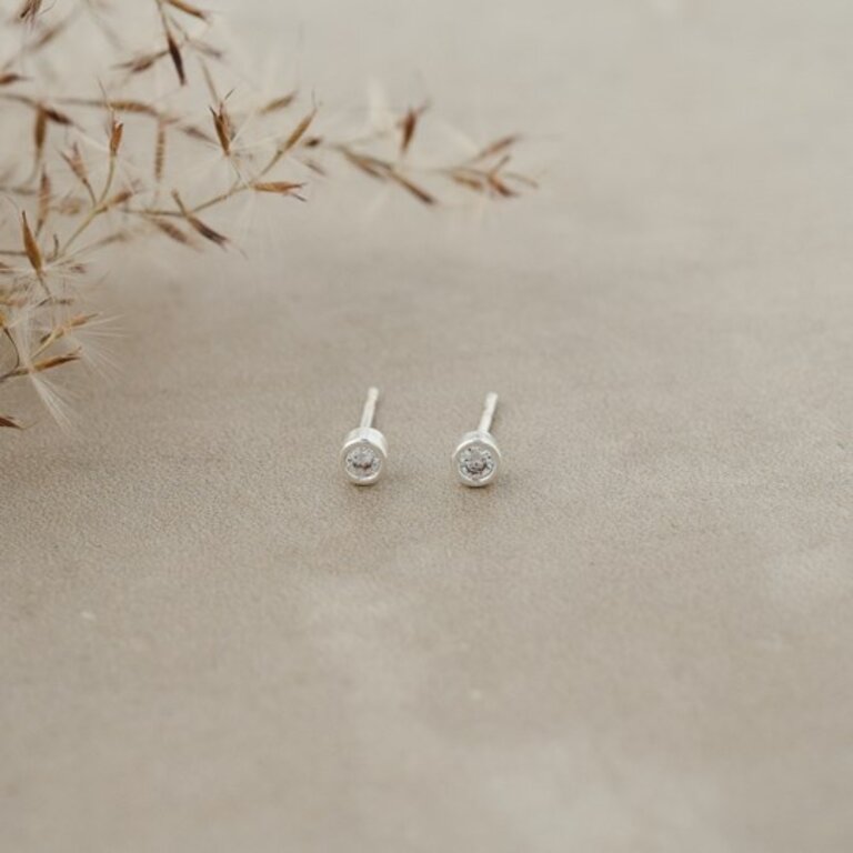 Glee Jewelry Silver plated Wink studs