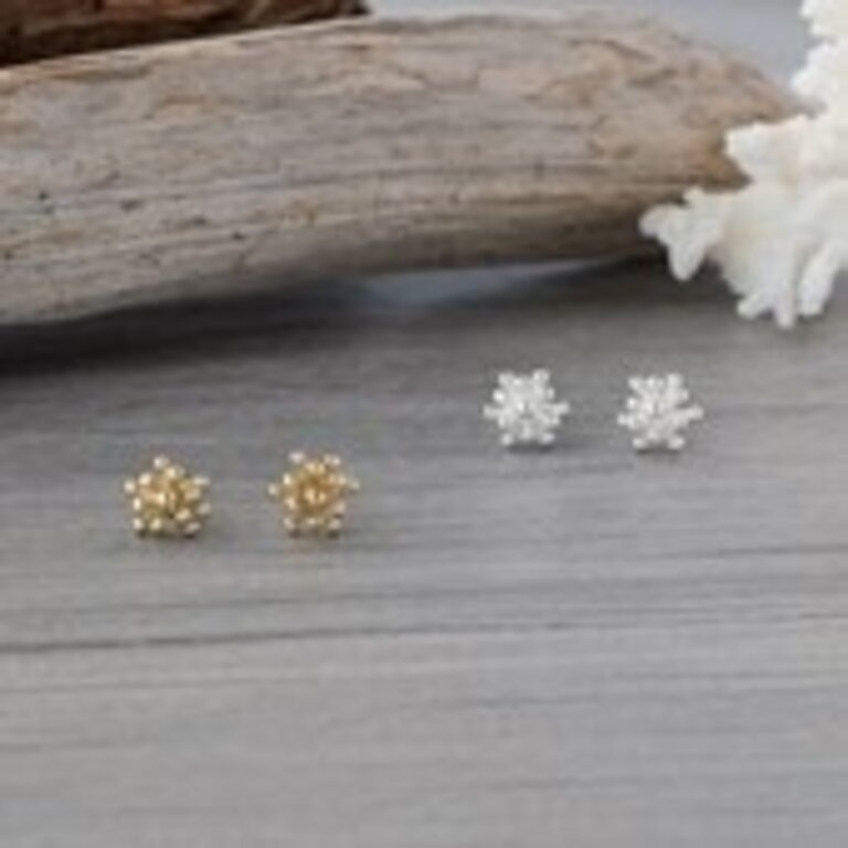 Glee Jewelry Silver plated Living Coral studs