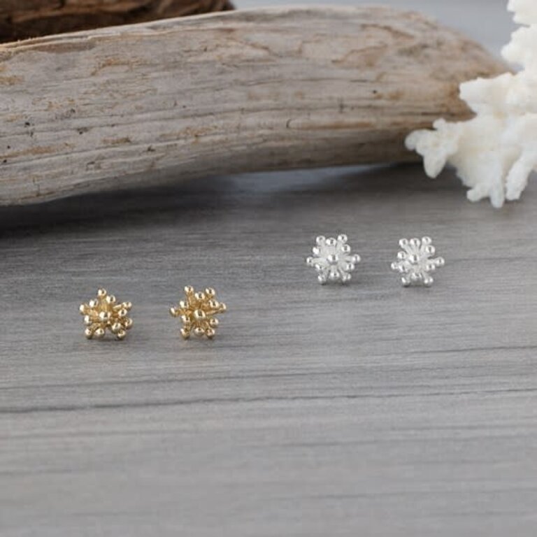 Glee Jewelry Silver plated Living Coral studs