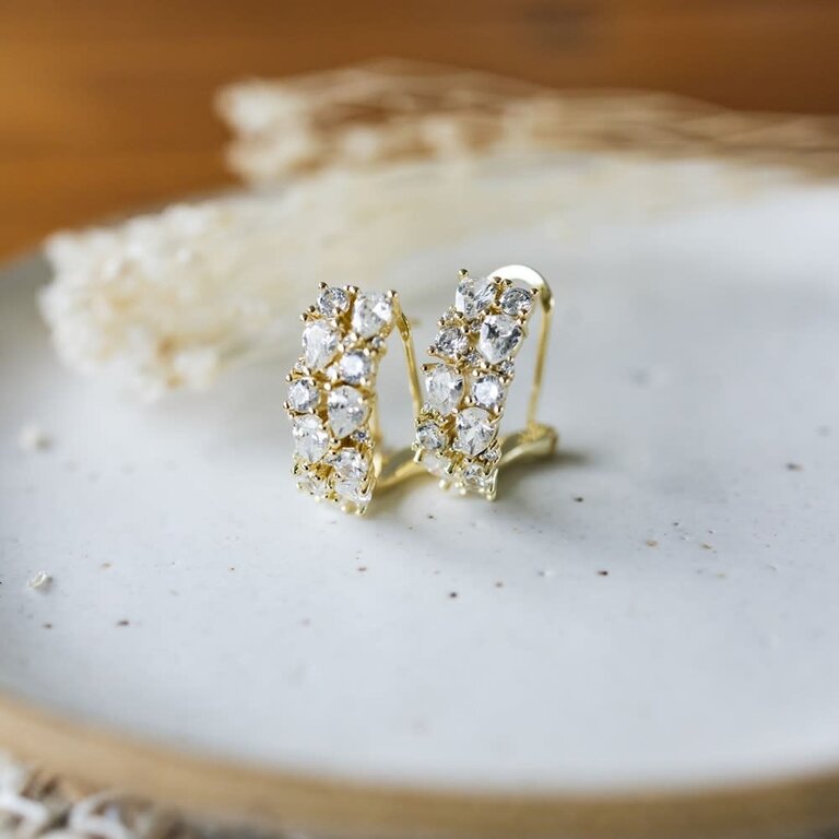 Glee Jewelry Gold plated Lustrous studs, clear