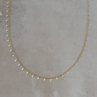 Glee Jewelry Gold plated Caprice fringe necklace