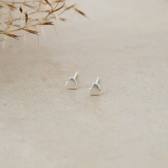 Glee Jewelry Silver plated Cutie studs