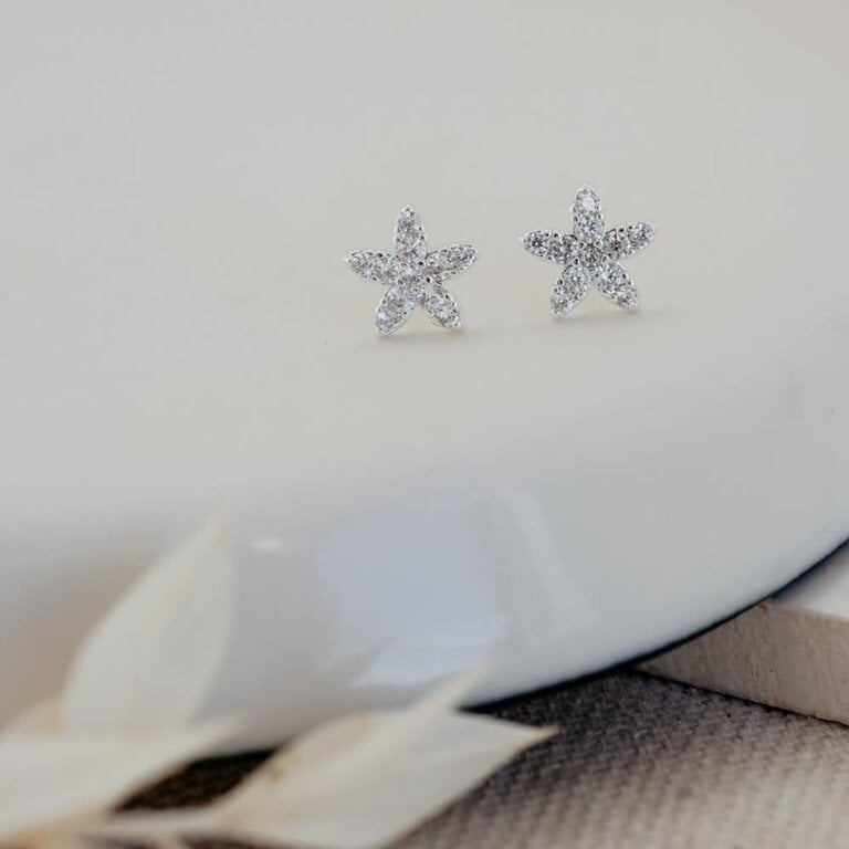 Glee Jewelry Silver plated vibrant starfish studs
