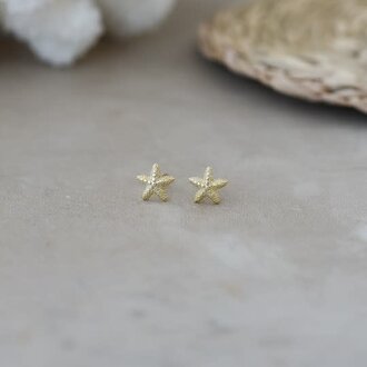 Glee Jewelry Gold plated baby starfish studs