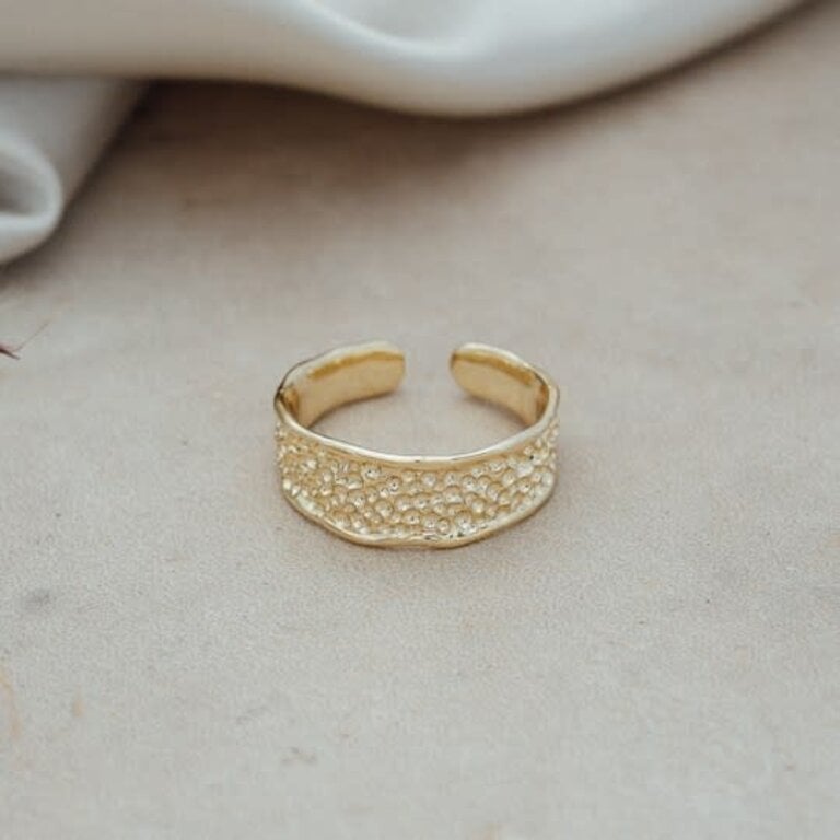 Glee Jewelry Gold plated Emmy ring