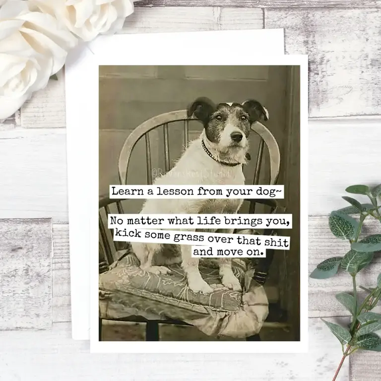 Raven's Rest RR Card: Learn a lesson from your dog