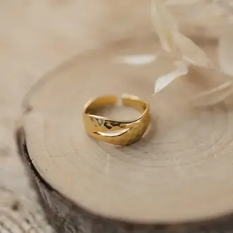 Wild Abandon Gold plated adjustable Expressive ring
