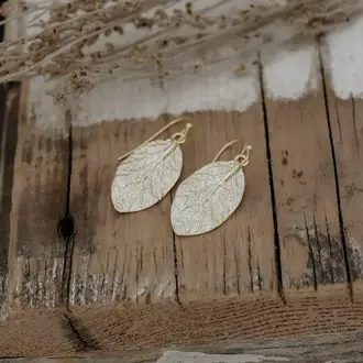 Wild Abandon Gold plated Elm earrings