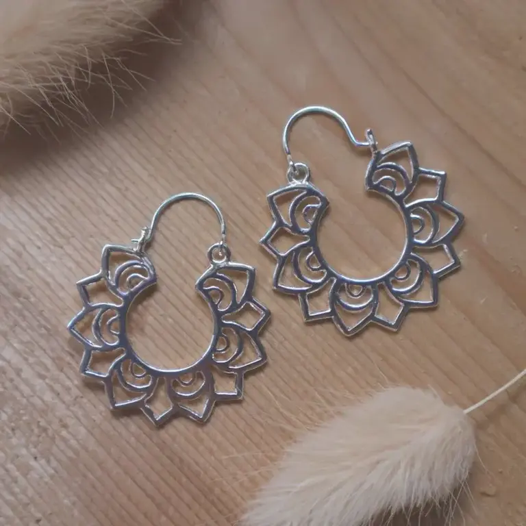 Wild Abandon Silver plated True earrings