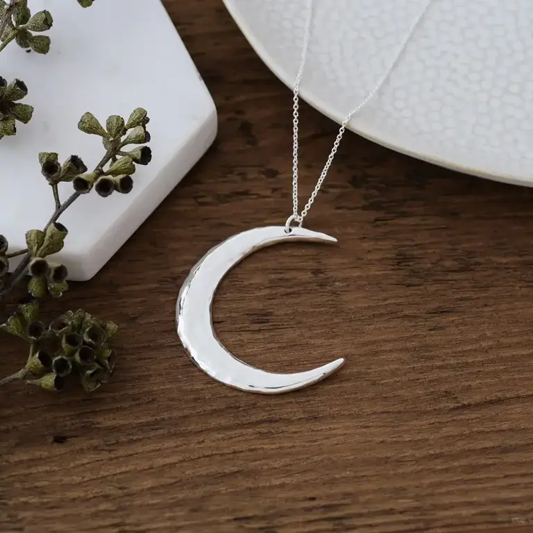 Wild Abandon WSilver plated Confidence necklace