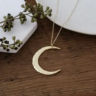 Wild Abandon Gold plated Confidence necklace
