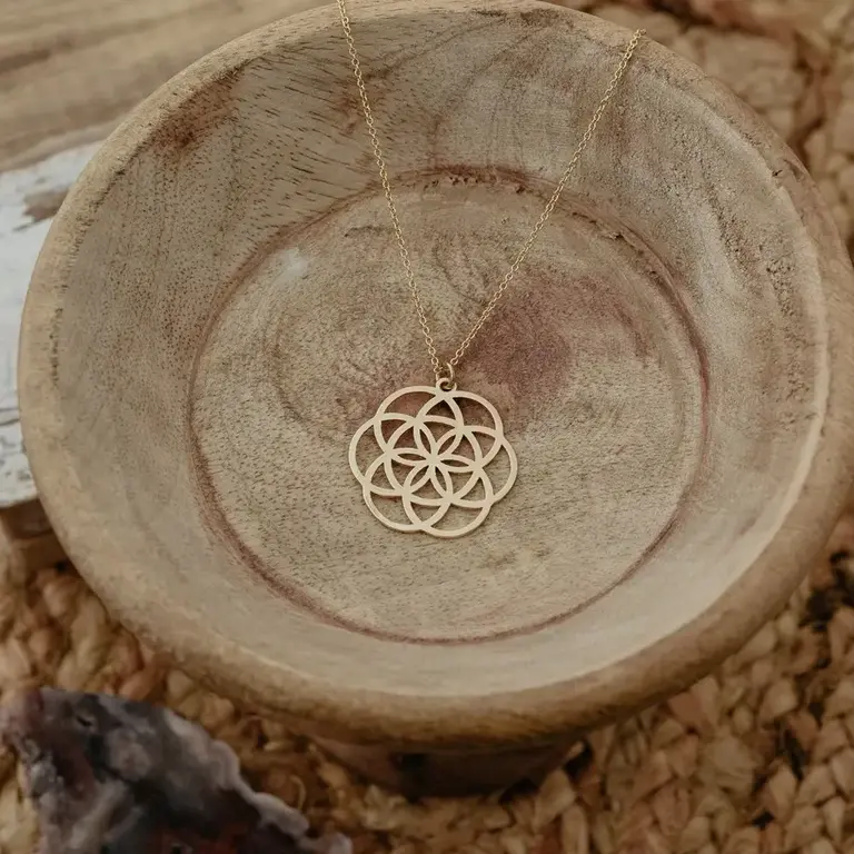 Wild Abandon Gold plated Geo Star necklace