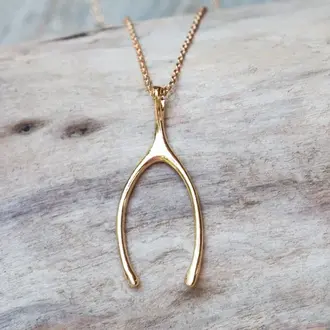 Wild Abandon Gold plated Wishbone necklace / large