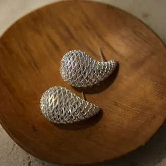 Wild Abandon Silver plated Stellar earrings