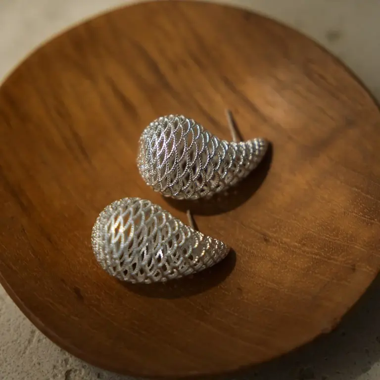 Wild Abandon Silver plated Stellar earrings