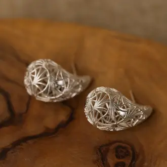 Wild Abandon Silver plated Interstellar earrings