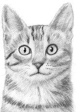 Nick W Drawing Art Class Animal Portraits Cat Wed July 20 to Aug 3  6:00 to 7:30 pm