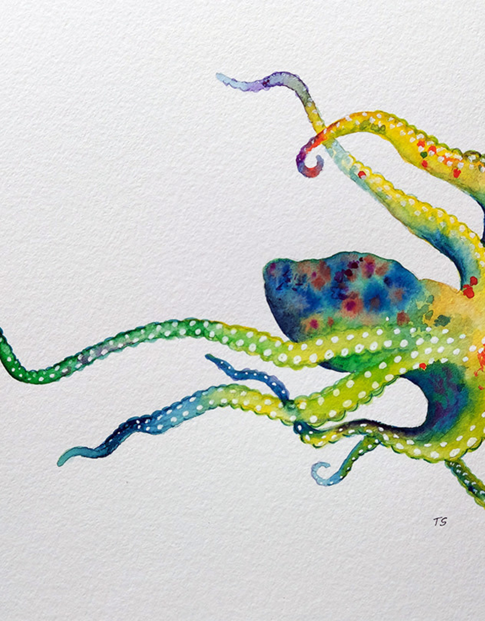 Tamara S Watercolour Art Class Octopus Sat Oct 8 2:30 to 4 :30 pm