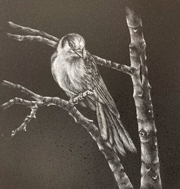 Olha K Drawing Art class Small bird on a branch Fri April 14 6:00 to 8:00 pm