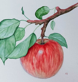 Tamara S Watercolour Art Class An apple Tues Oct 3,  3:00 to 5:00 pm