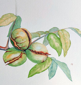 Tamara S Watercolour Art Class Walnuts Fri Oct 20 3:00 to 5:00 pm
