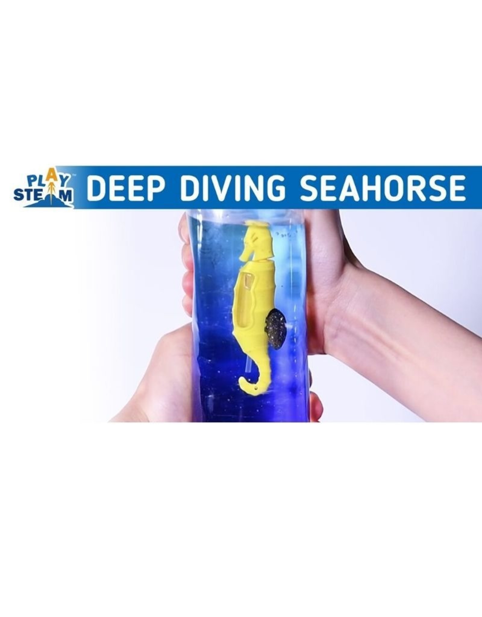 PlaySteam Ocean Cleaning Seahorse