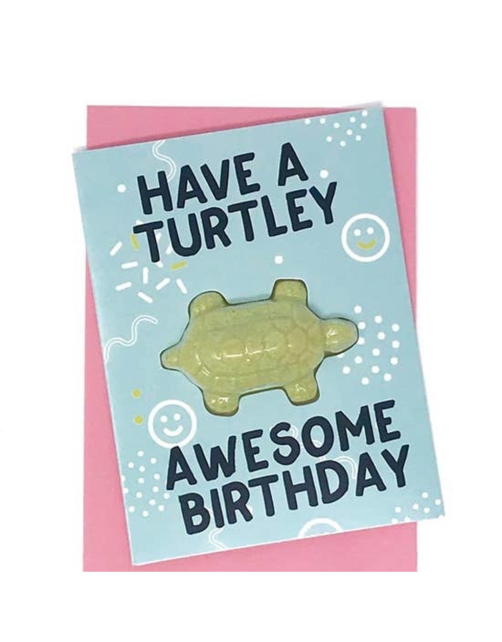 Feeling Smitten Have a Turtley Awesome Birthday Card