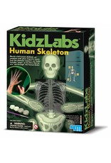 Toysmith Glow Human Skeleton