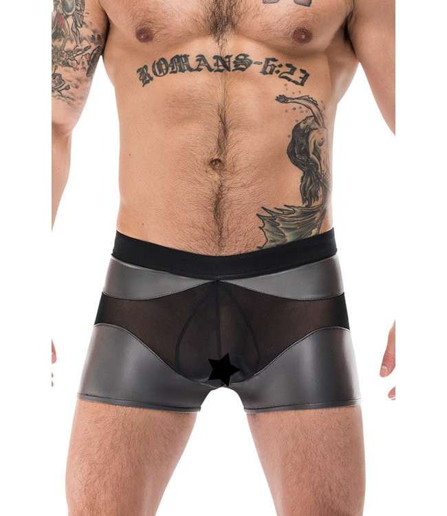 Ivan Grey Men's Brief 123245