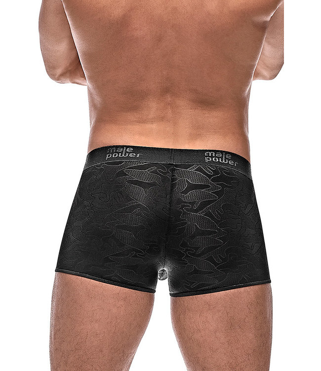 Liam Boxer Brief 145263