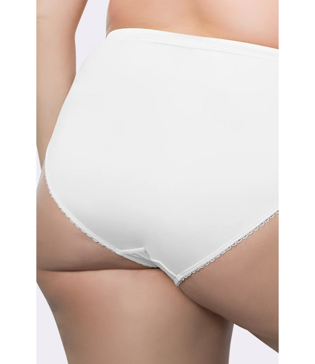 Micro Dressy French Cut Panty PP306