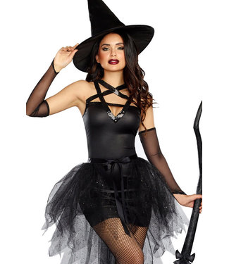 Wicked, Wicked Witch Costume 10663