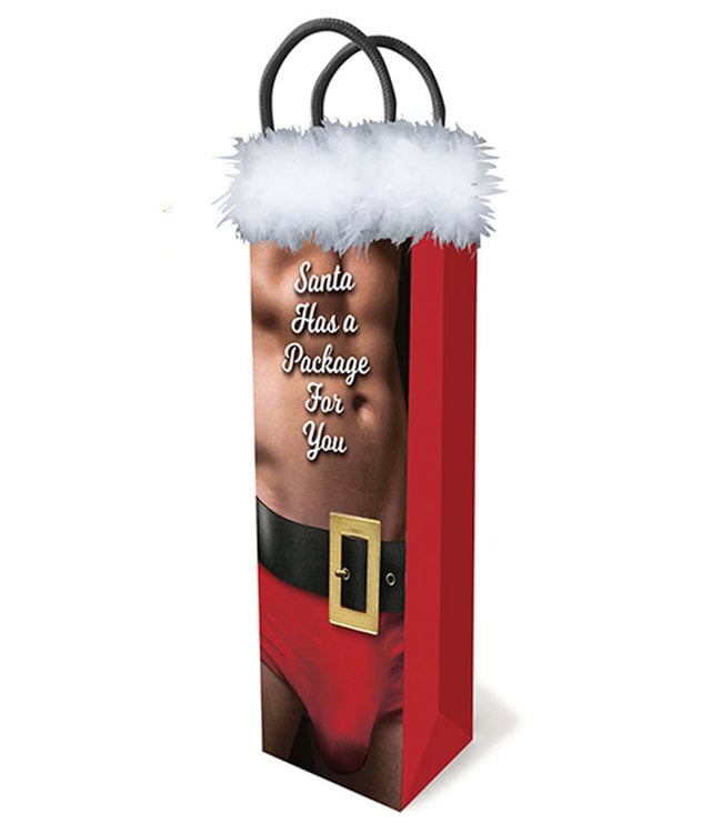 Santa Has A Package Gift Bag