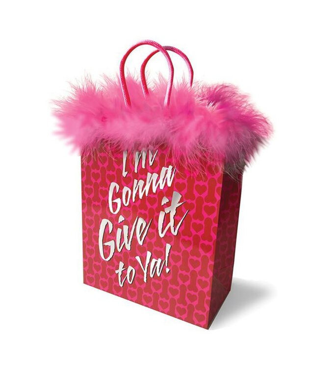 I'm Gonna Give it to Ya! Gift Bag