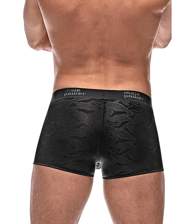 Liam Boxer Brief 145263