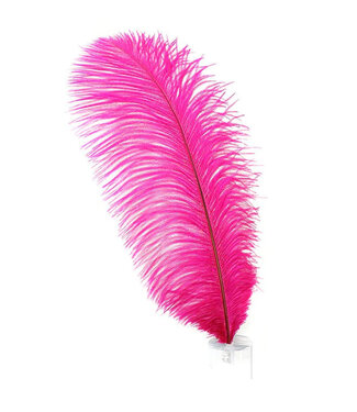 Feather Plume Hot Pink