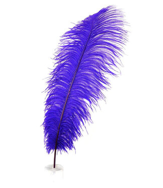 Feather Plume Purple