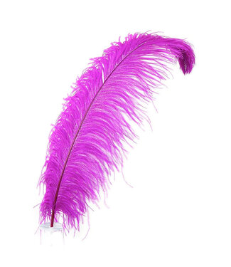 Feather Plume Violet