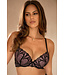 Pour Moi New Romance Padded Push-Up Plunge Black/Rose Bra 184002