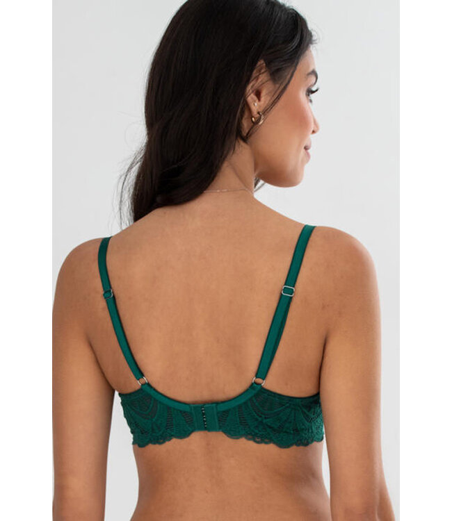Pour Moi New Romance Padded Push-Up Plunge Forest/Slate Bra 184002