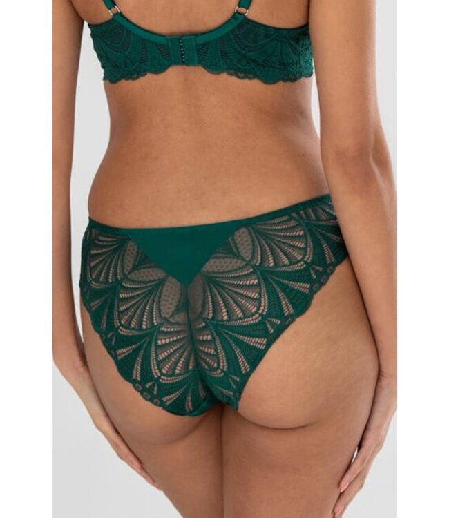 New Romance Forest/Slate Bikini Brief 184012